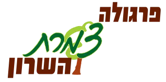 לוגו לקוח של ליאור דיזיין